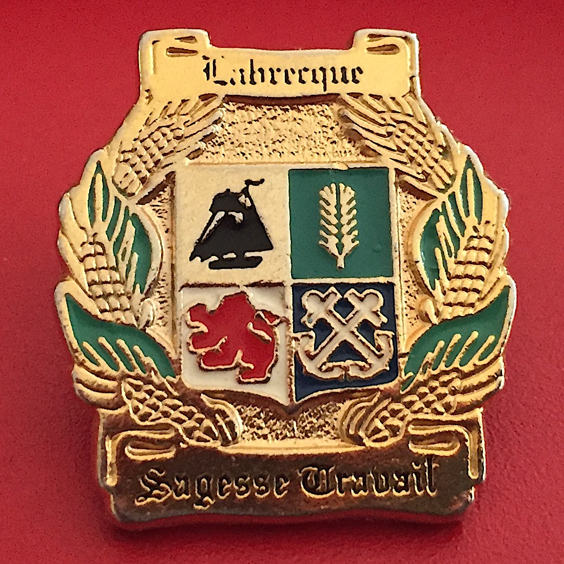 Pin
